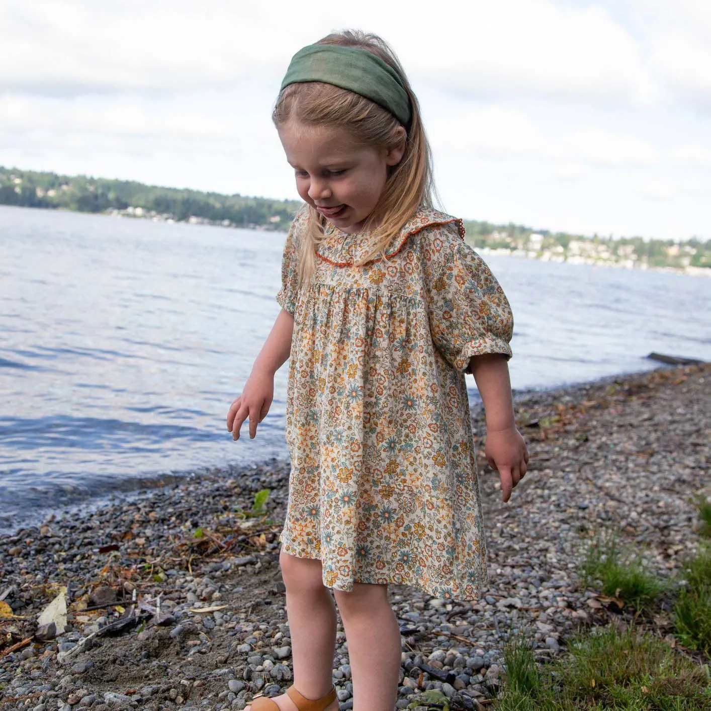 Beet World - Toddler Emily Dress with Ruffle Collar | Cottonfield Floral: 2-3 Y