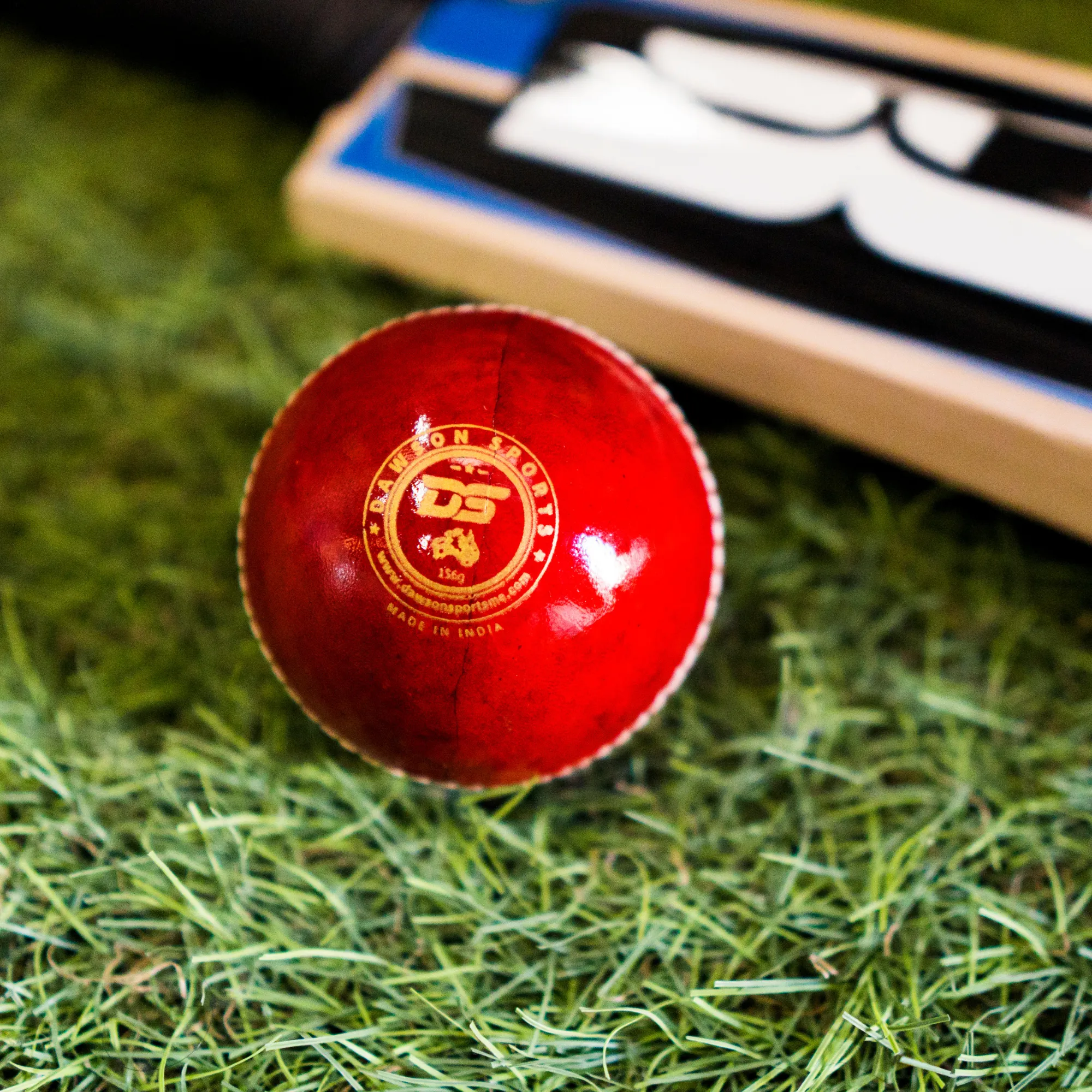 DS Club Leather Cricket Ball