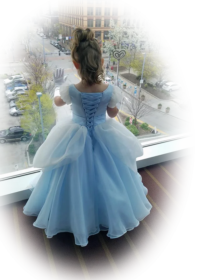 Girl Cinderella Ball Gown Party Dress ELLY