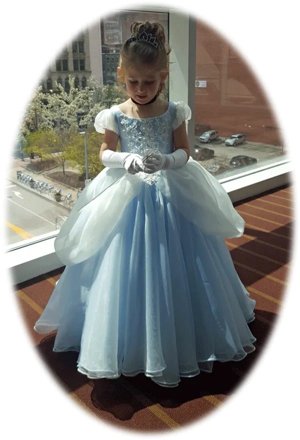 Girl Cinderella Ball Gown Party Dress ELLY