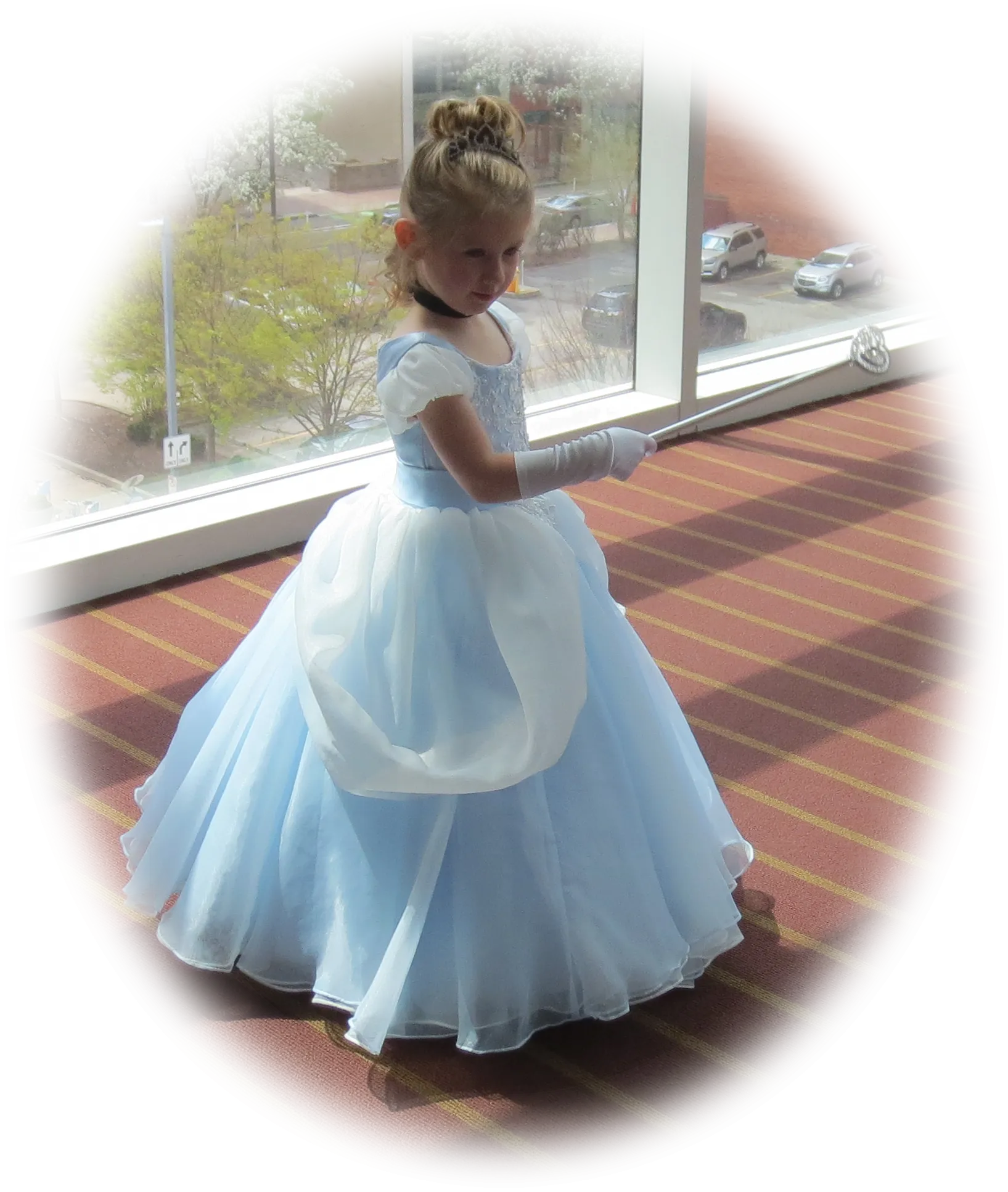 Girl Cinderella Ball Gown Party Dress ELLY